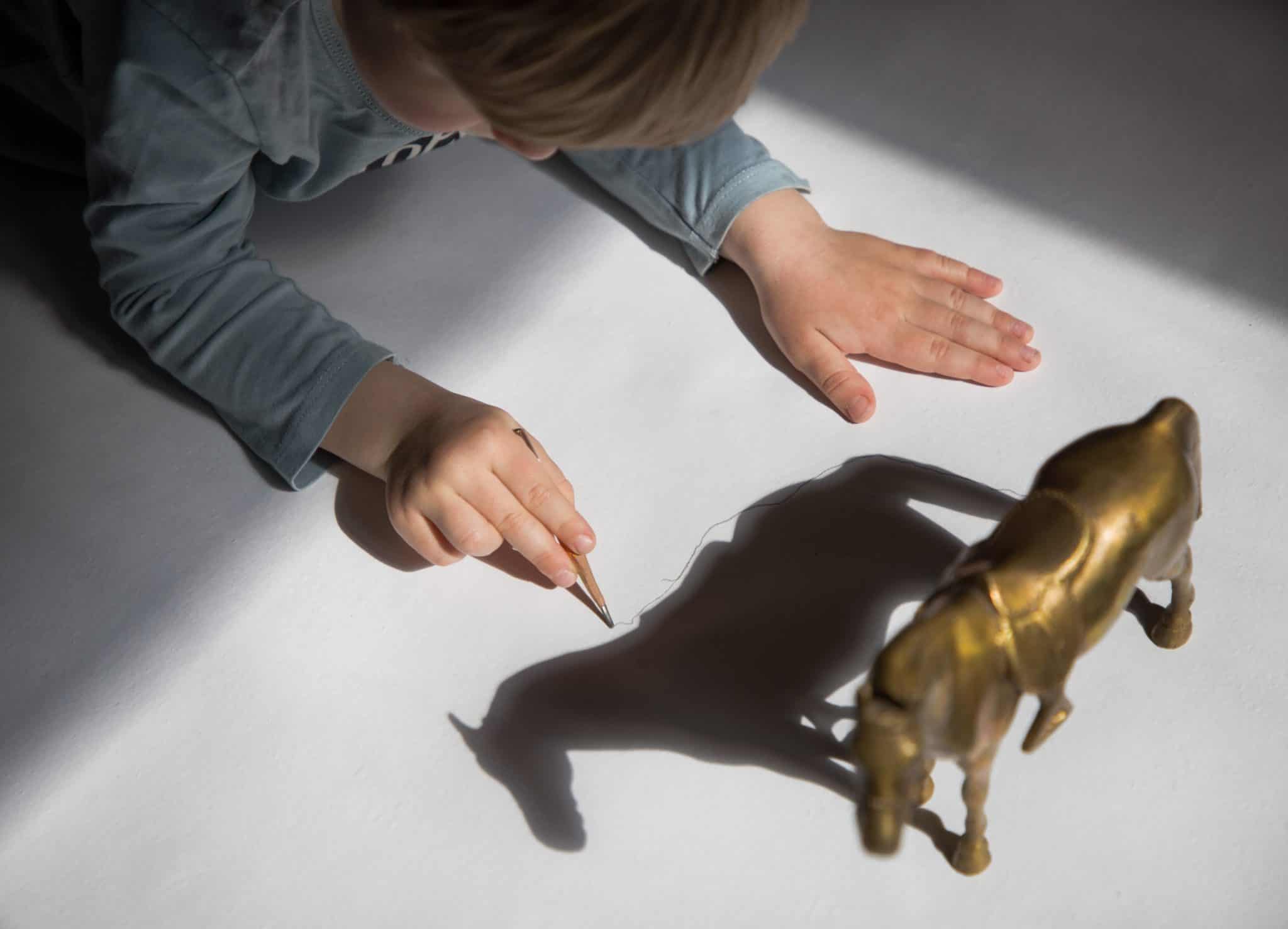Shadow Drawging Shadow drawing - THE EDUCATION HUB