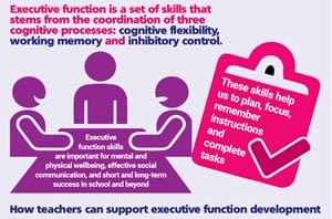 Executive function infographic