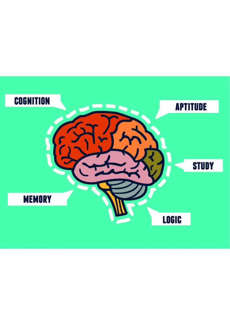 The role of memory, knowledge and understanding in learning